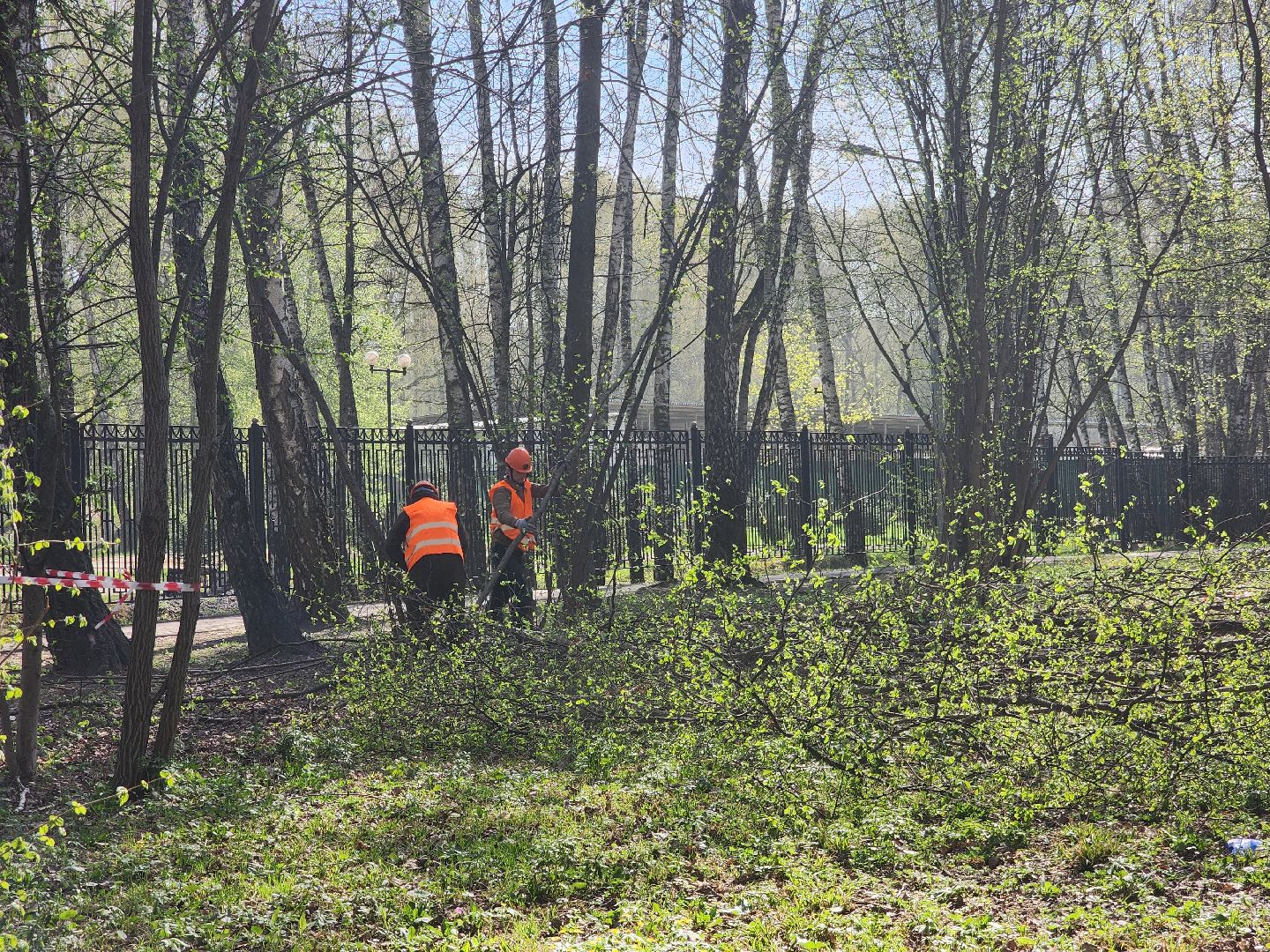 подольск, благоустройство, Парк березки,