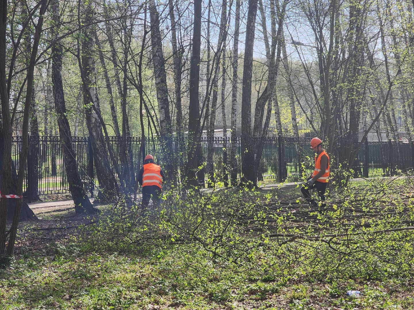 подольск, благоустройство, Парк березки,