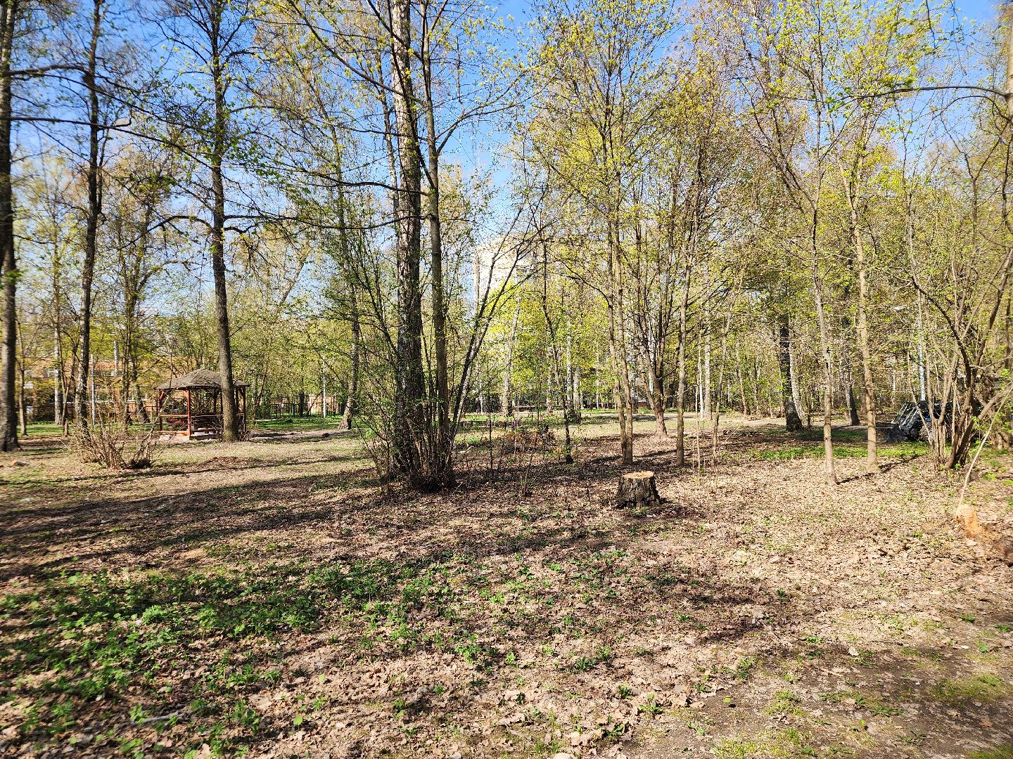 подольск, благоустройство, Парк березки,