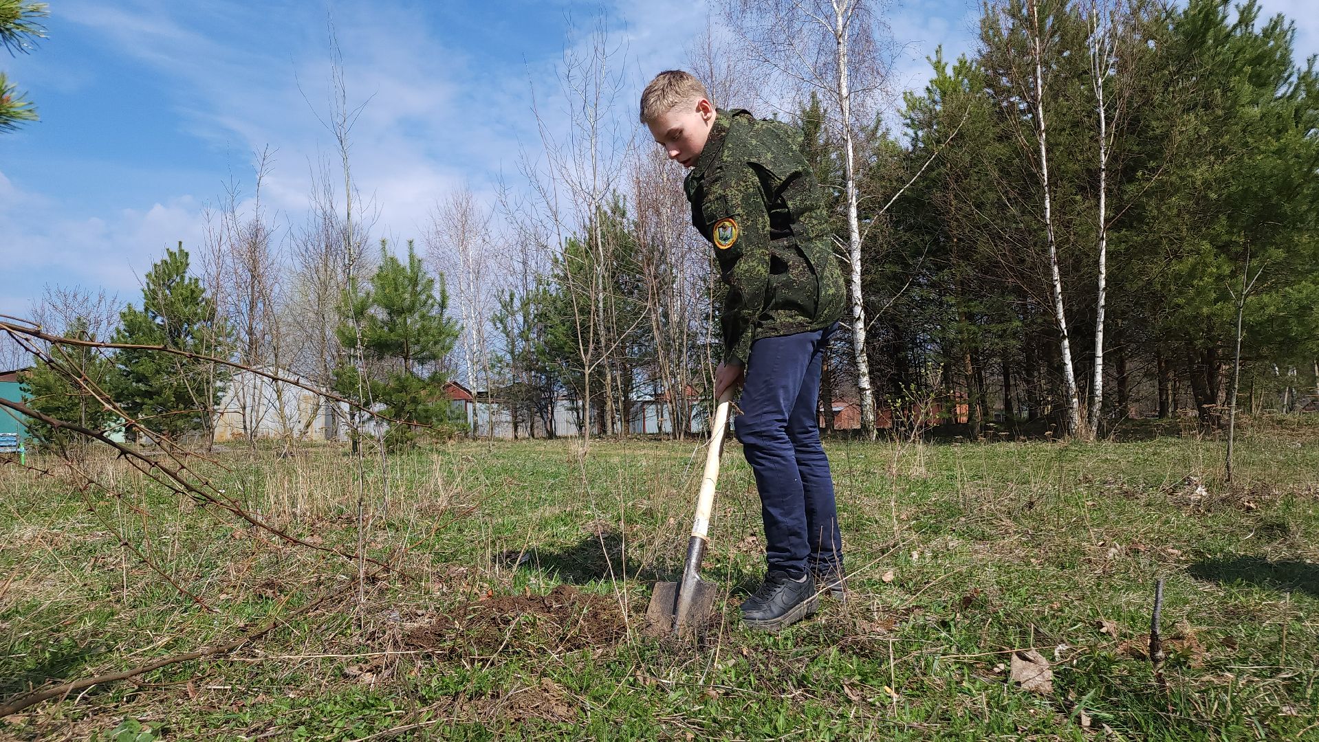 ступино, образование, допобразование, школьные лесничие,