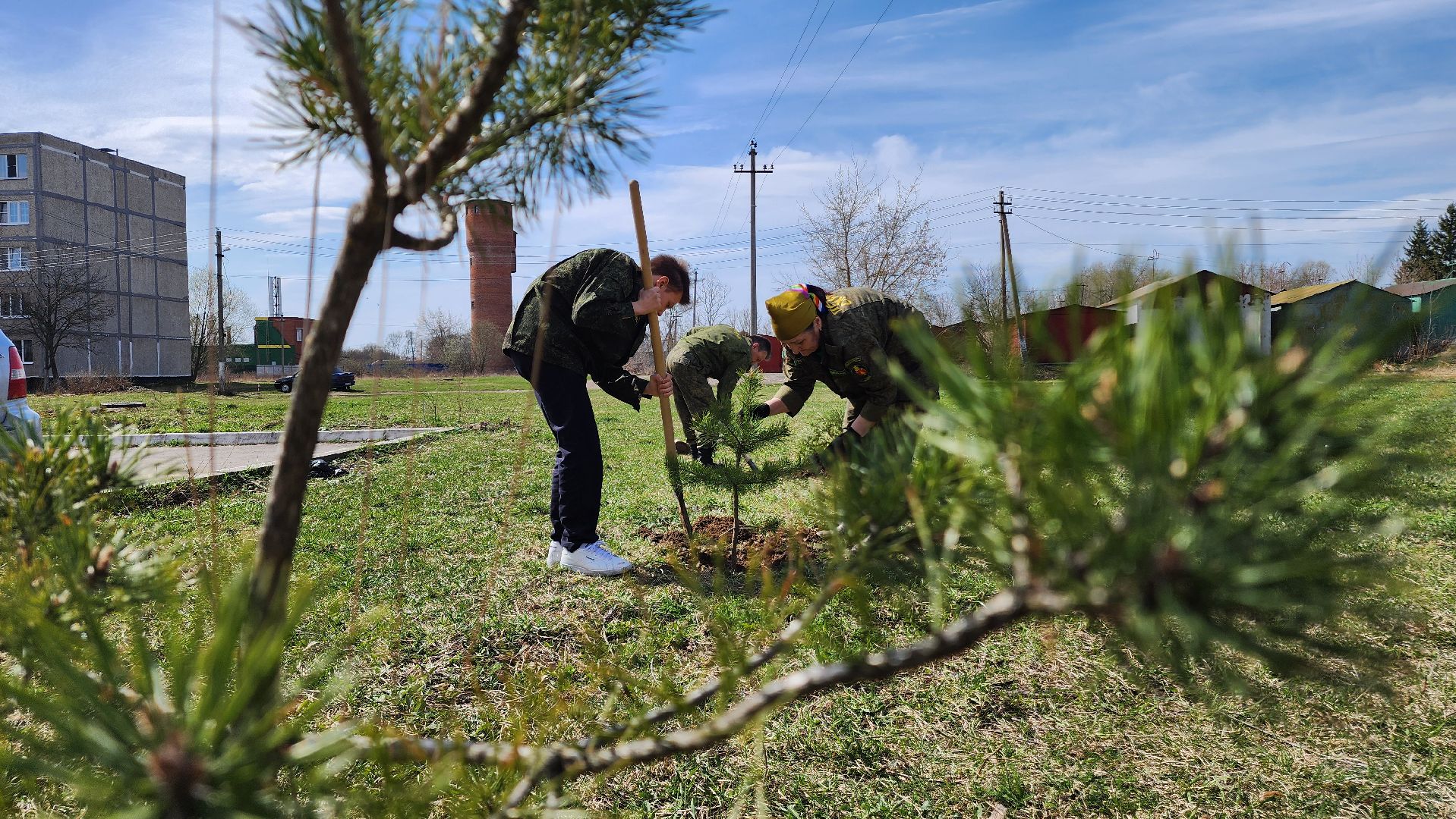 ступино, образование, допобразование, школьные лесничие,