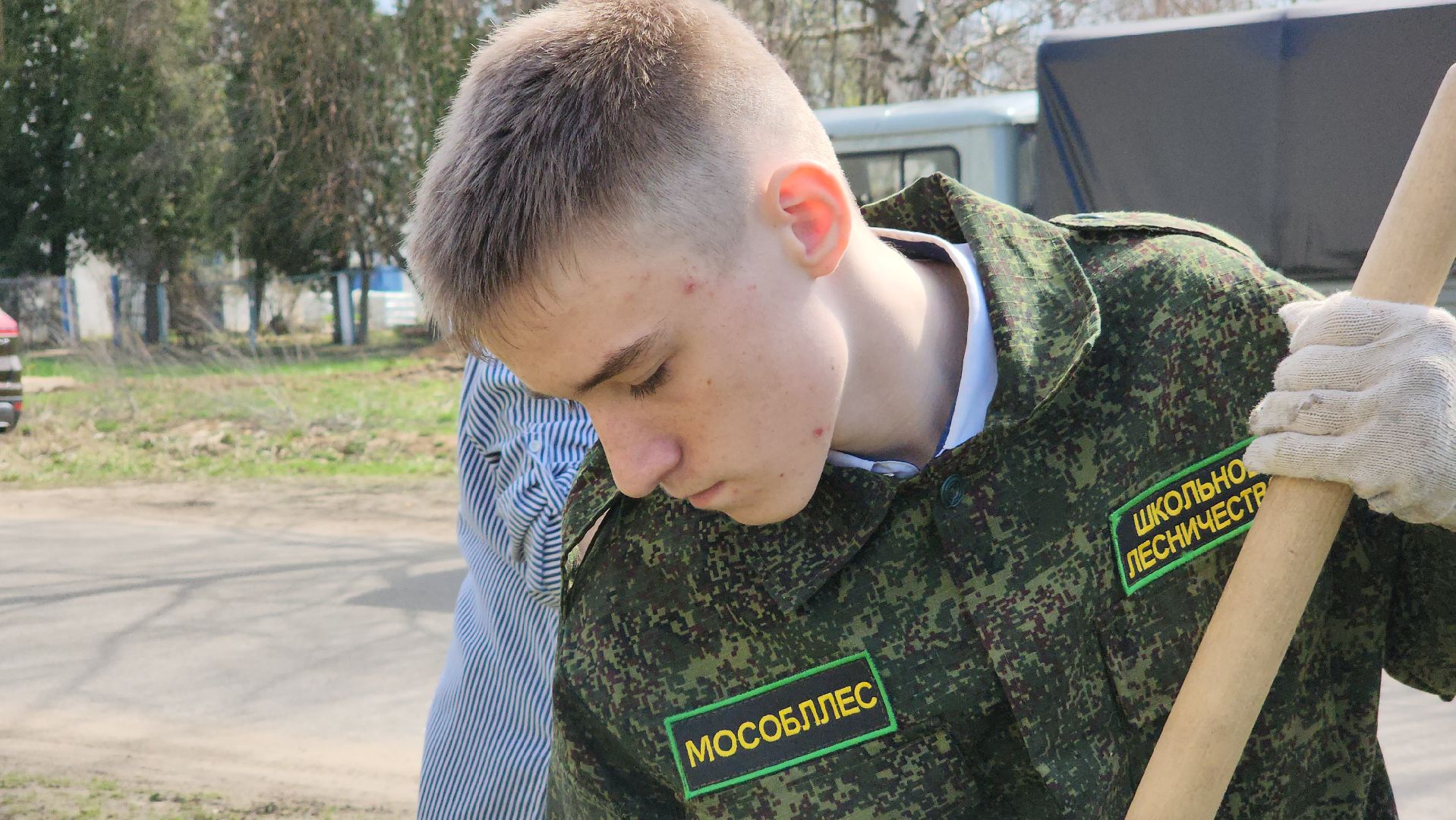 ступино, образование, допобразование, школьные лесничие,