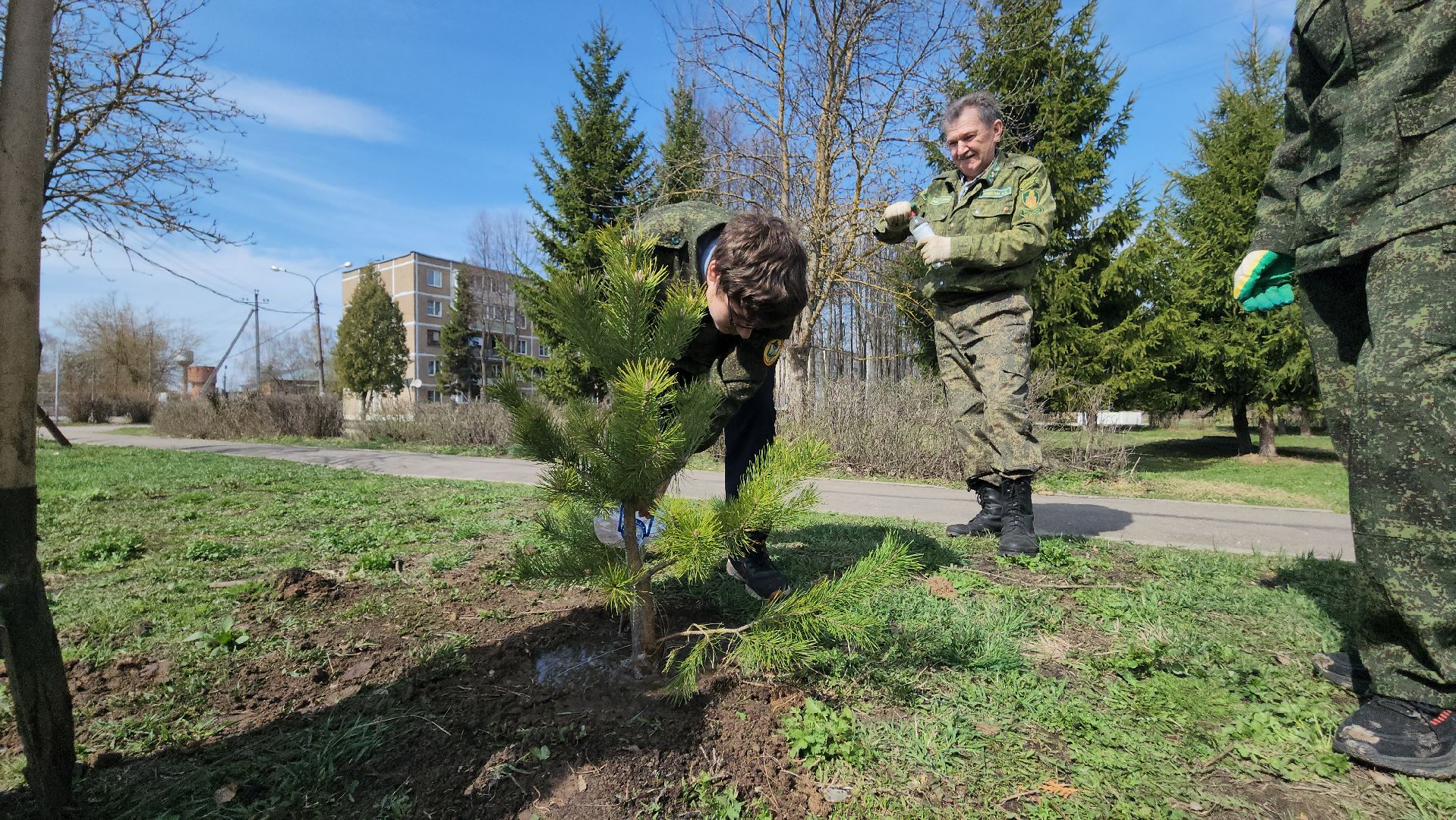 ступино, образование, допобразование, школьные лесничие,