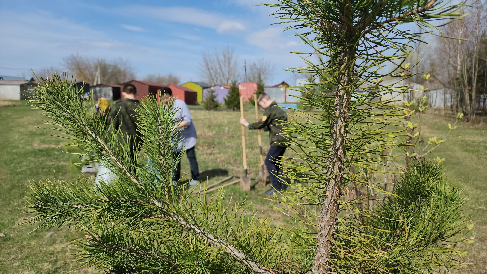 ступино, образование, допобразование, школьные лесничие,
