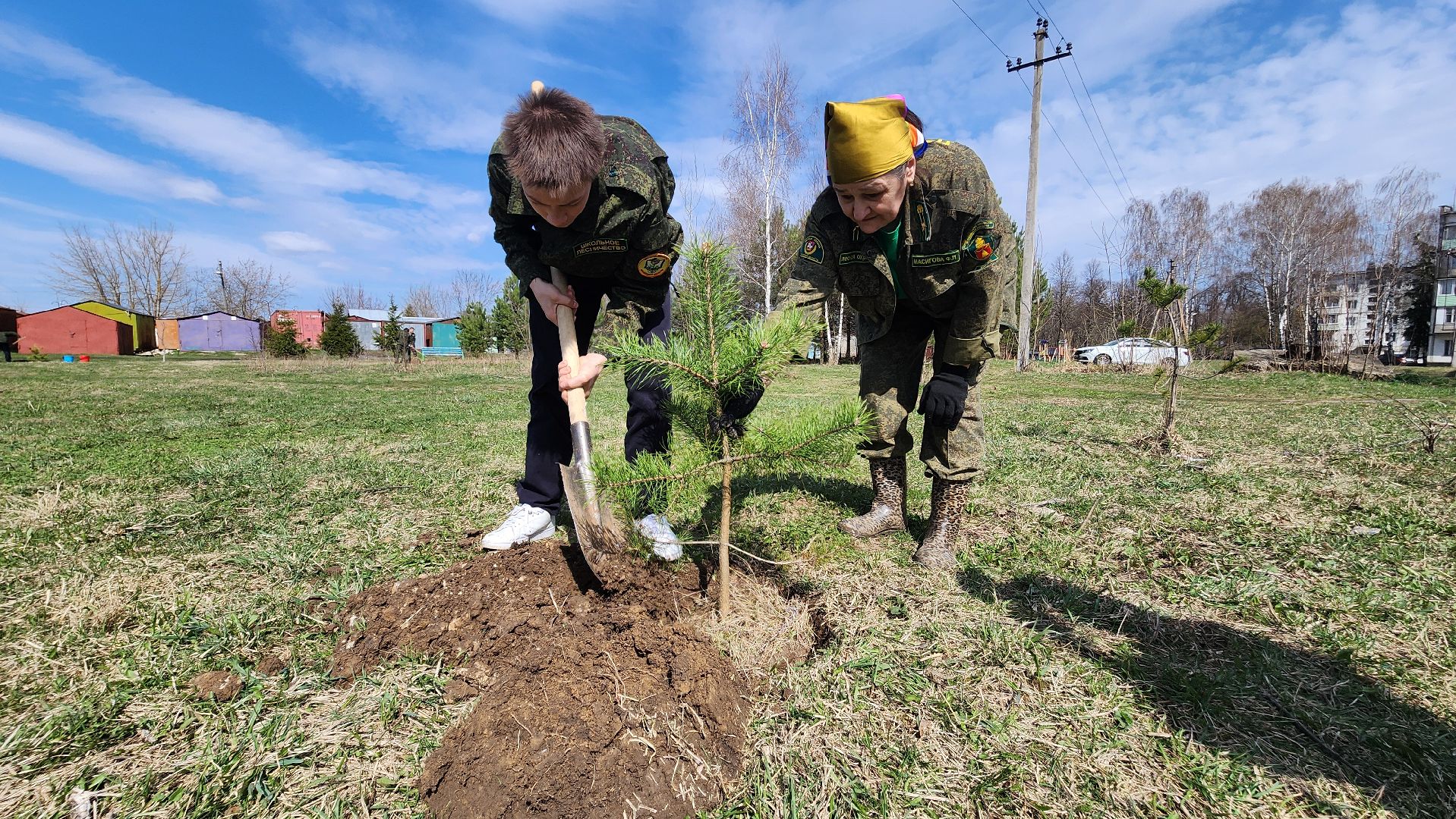ступино, образование, допобразование, школьные лесничие,