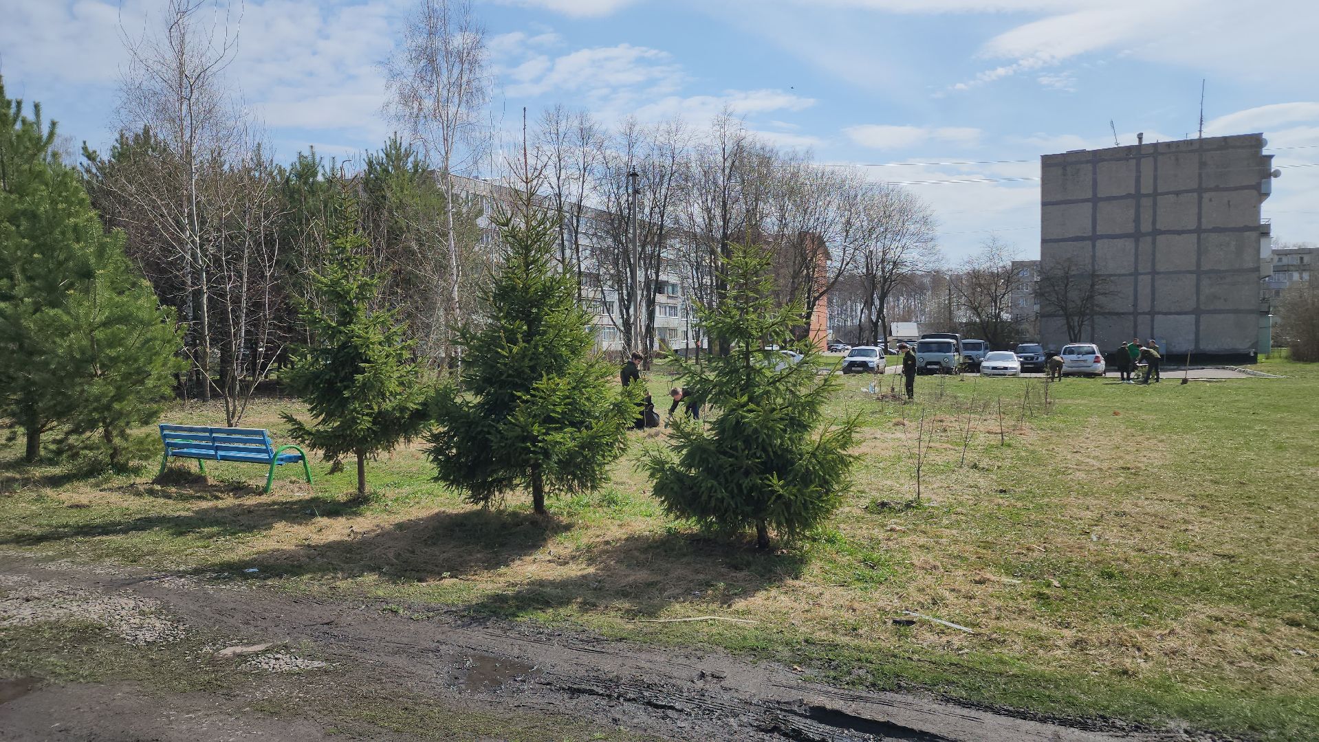 ступино, образование, допобразование, школьные лесничие,