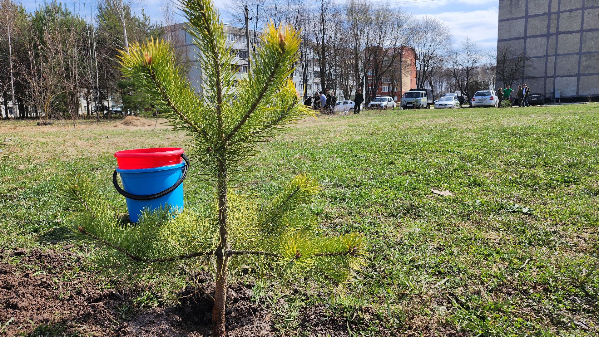 ступино, образование, допобразование, школьные лесничие,