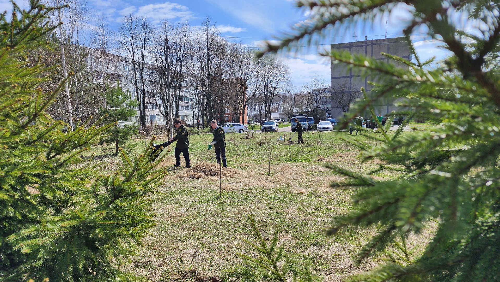 ступино, образование, допобразование, школьные лесничие,