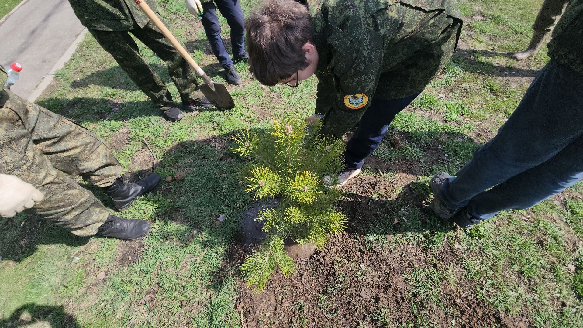 ступино, образование, допобразование, школьные лесничие,