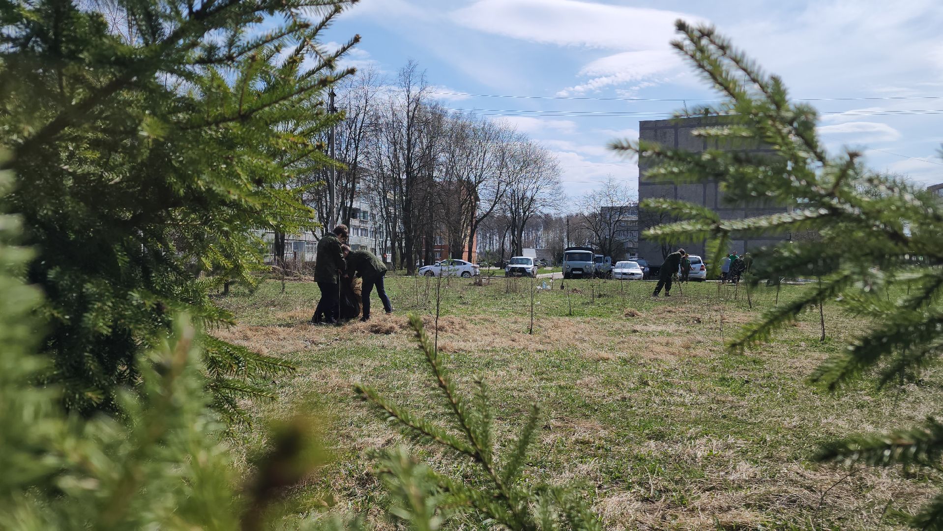 ступино, образование, допобразование, школьные лесничие,