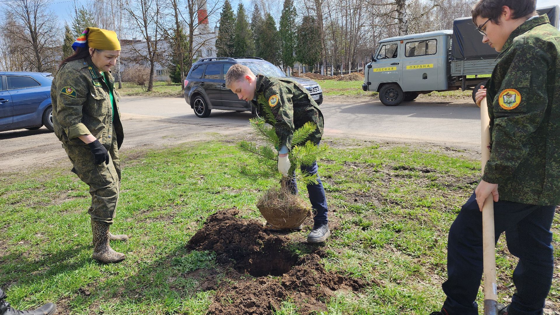 ступино, образование, допобразование, школьные лесничие,