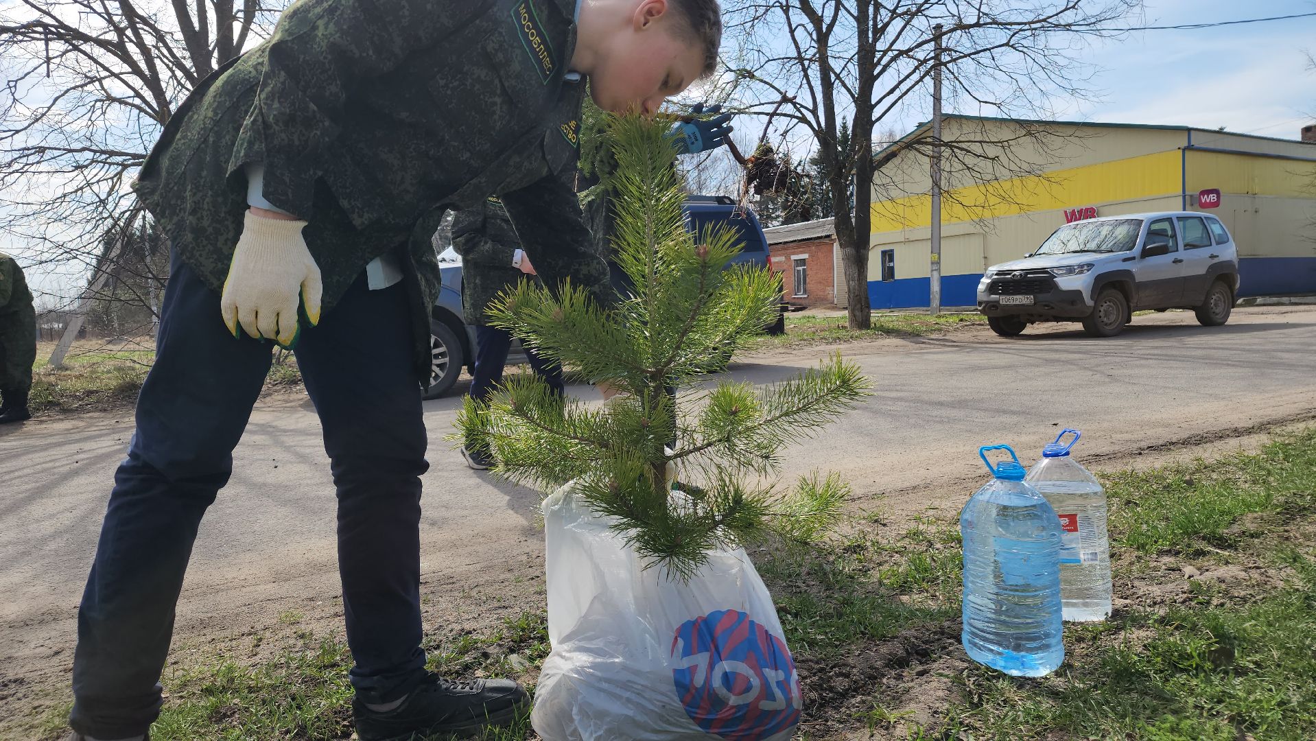ступино, образование, допобразование, школьные лесничие,