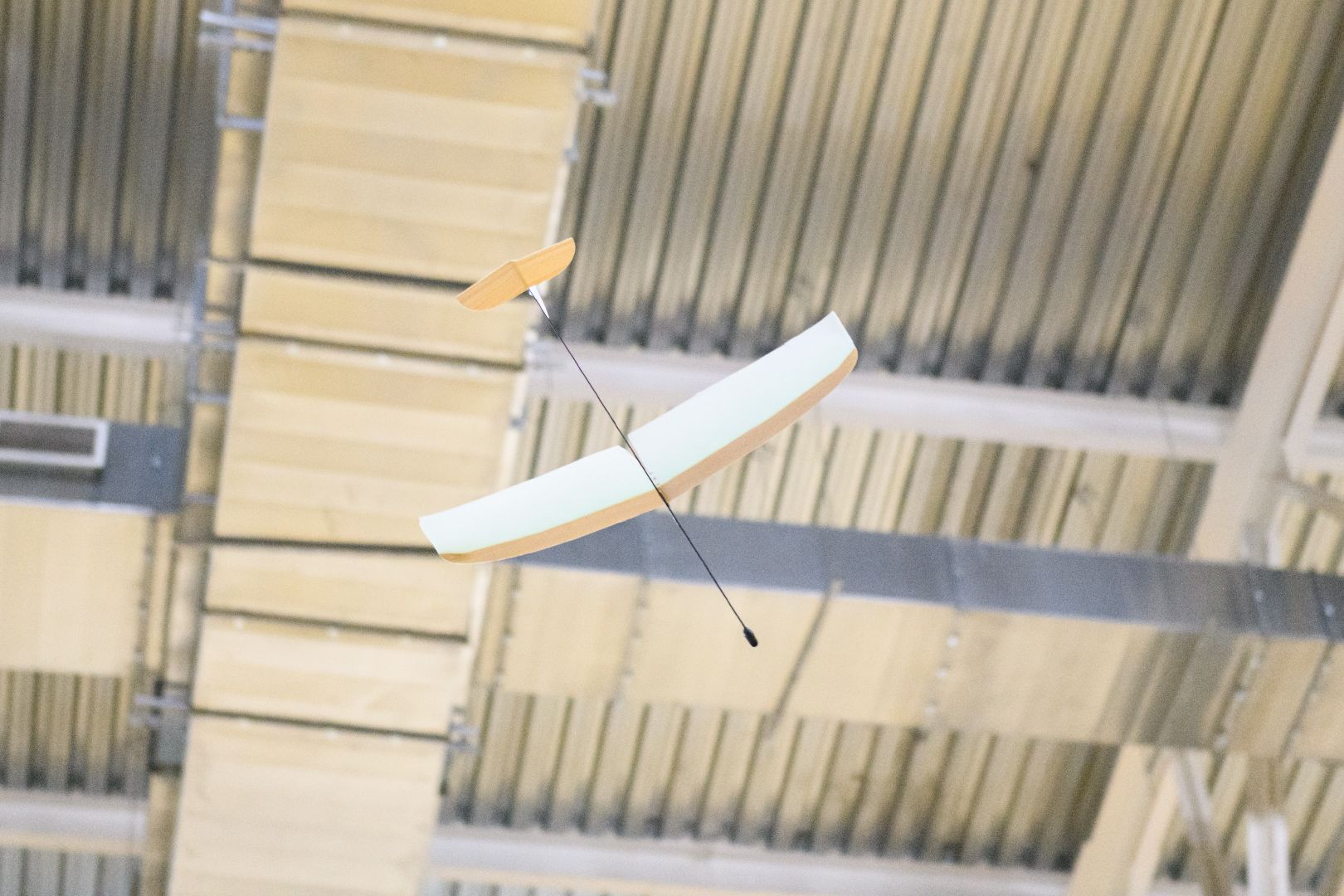 лыткарино, общество , планеры, авиамодельный спорт,