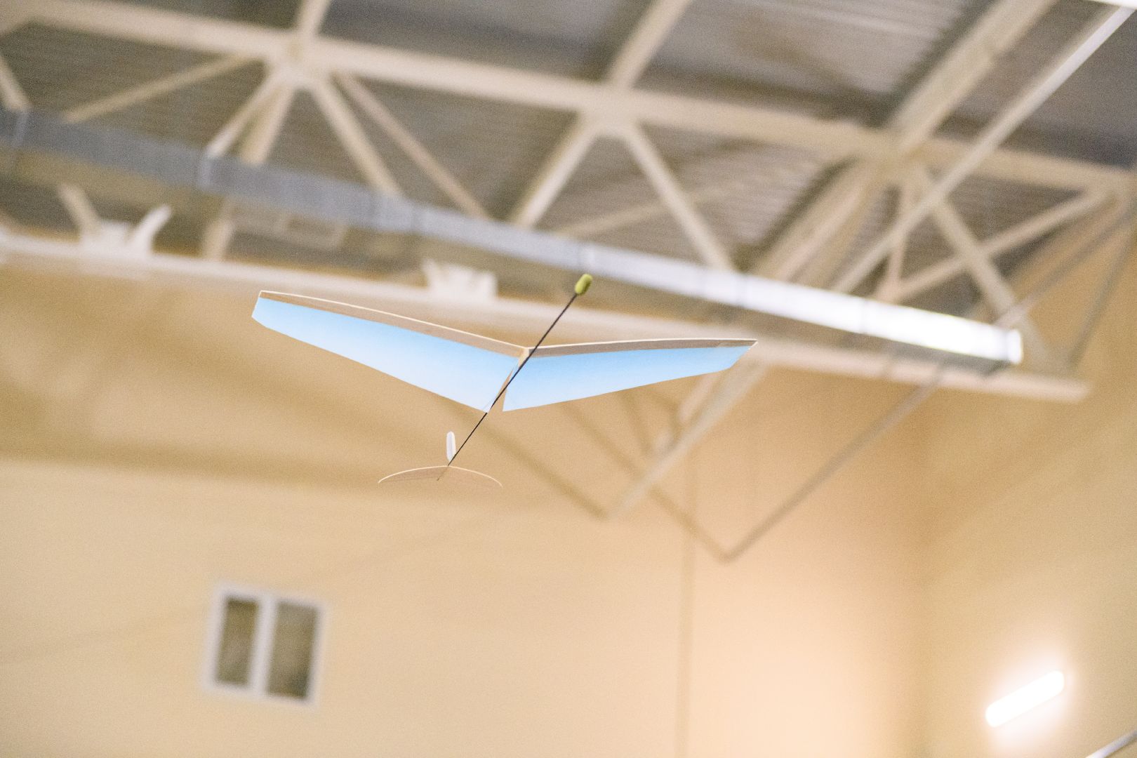 лыткарино, общество , планеры, авиамодельный спорт,