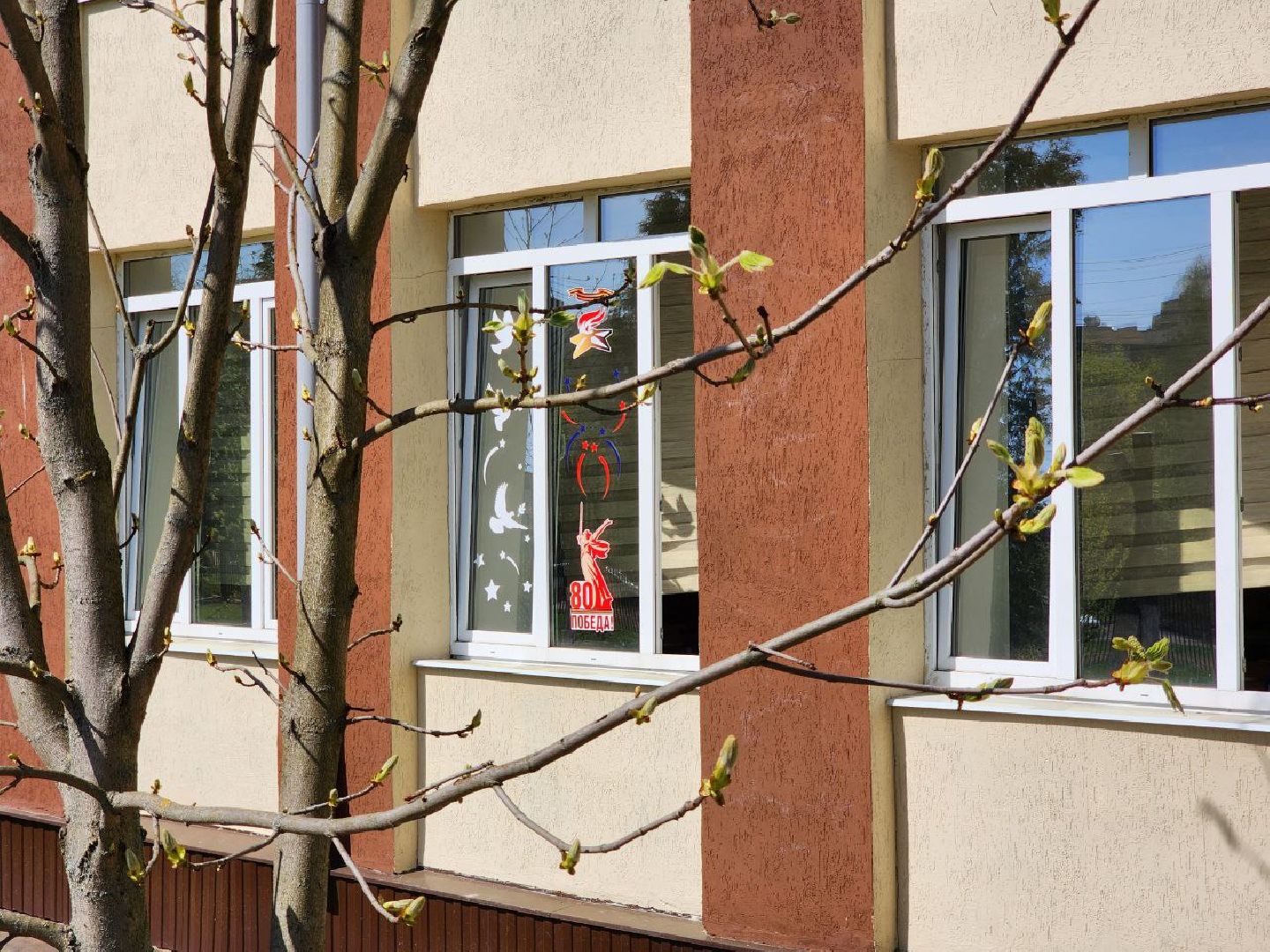 солнечногорск, день победы, школа, журавли памяти, акция,