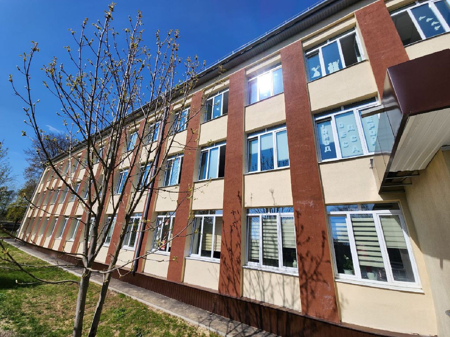 солнечногорск, день победы, школа, журавли памяти, акция,