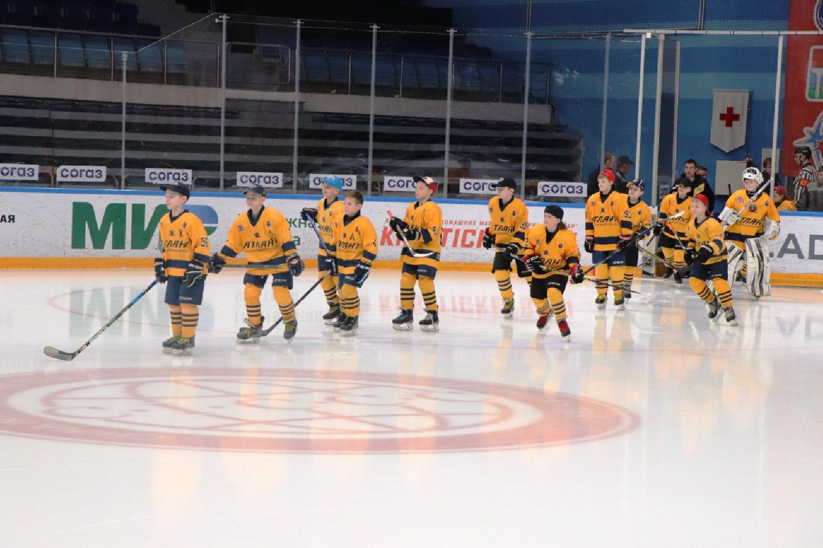 Шалимов, хоккей, Арена Мытищи