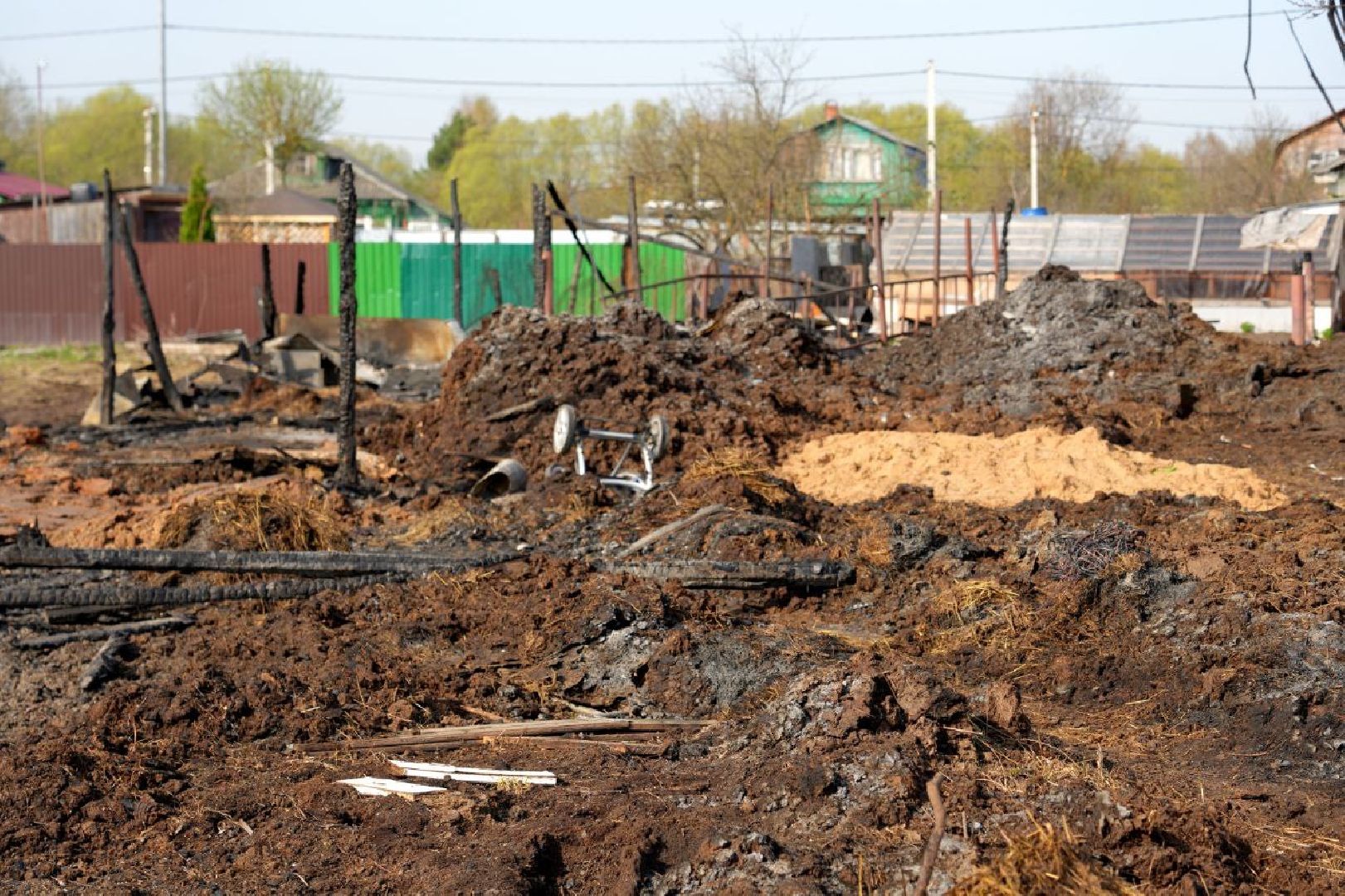 полиция , ветеринары , закон, животные, сергиево-посадский городской округ,