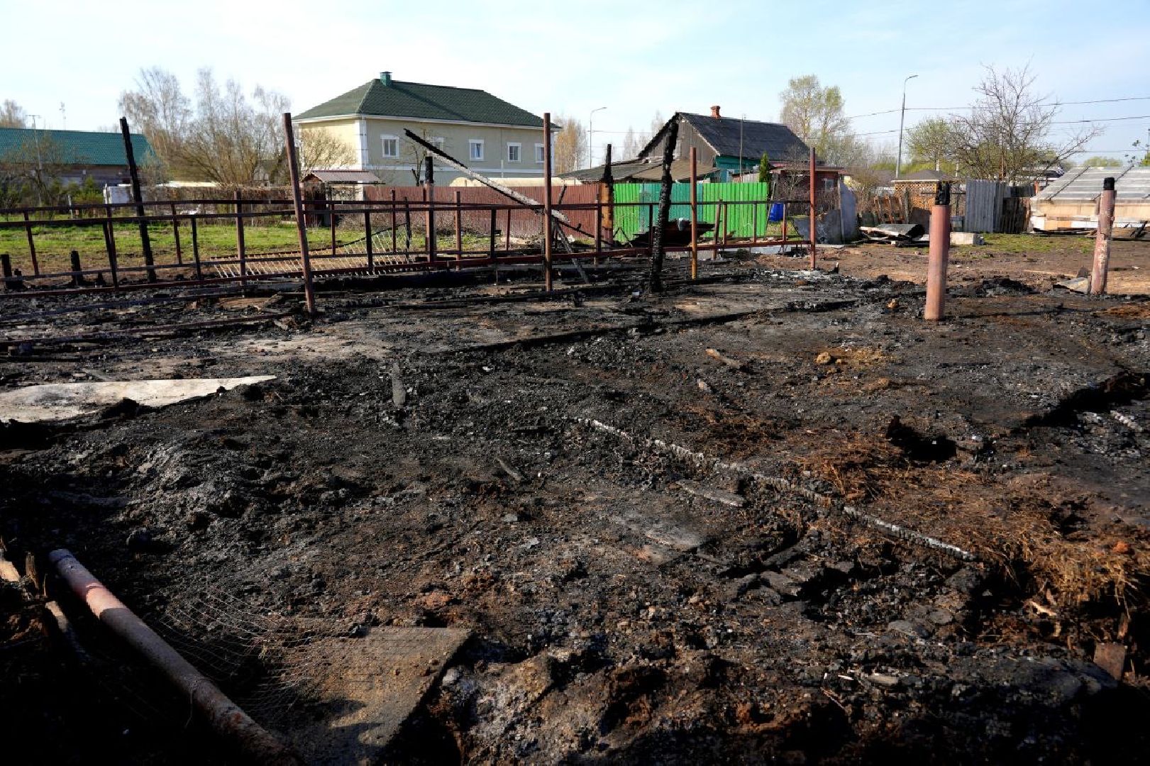 полиция , ветеринары , закон, животные, сергиево-посадский городской округ,