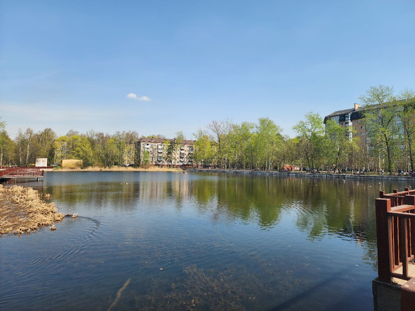 королёв, благоустройство, сквер героев курсантов в королеве, коммунальные службы города,