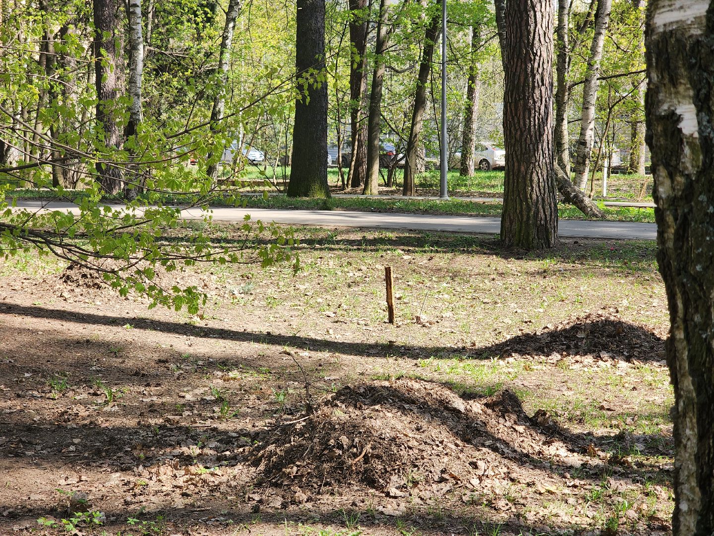 королёв, благоустройство, сквер героев курсантов в королеве, коммунальные службы города,