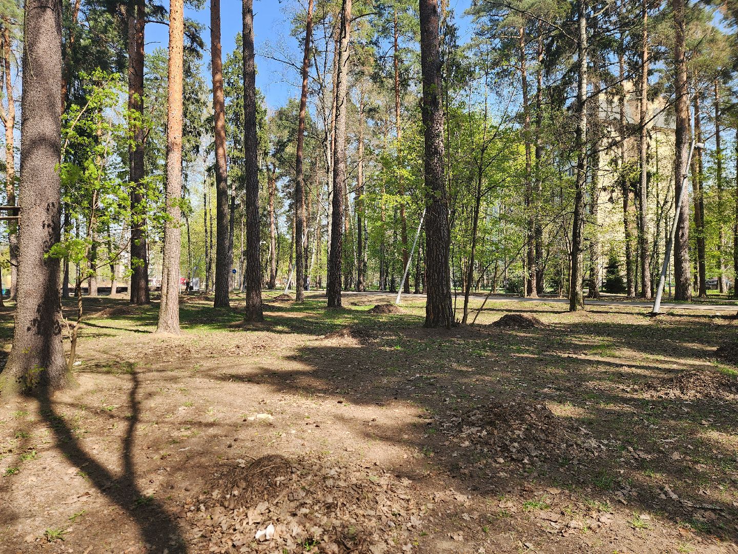 королёв, благоустройство, сквер героев курсантов в королеве, коммунальные службы города,