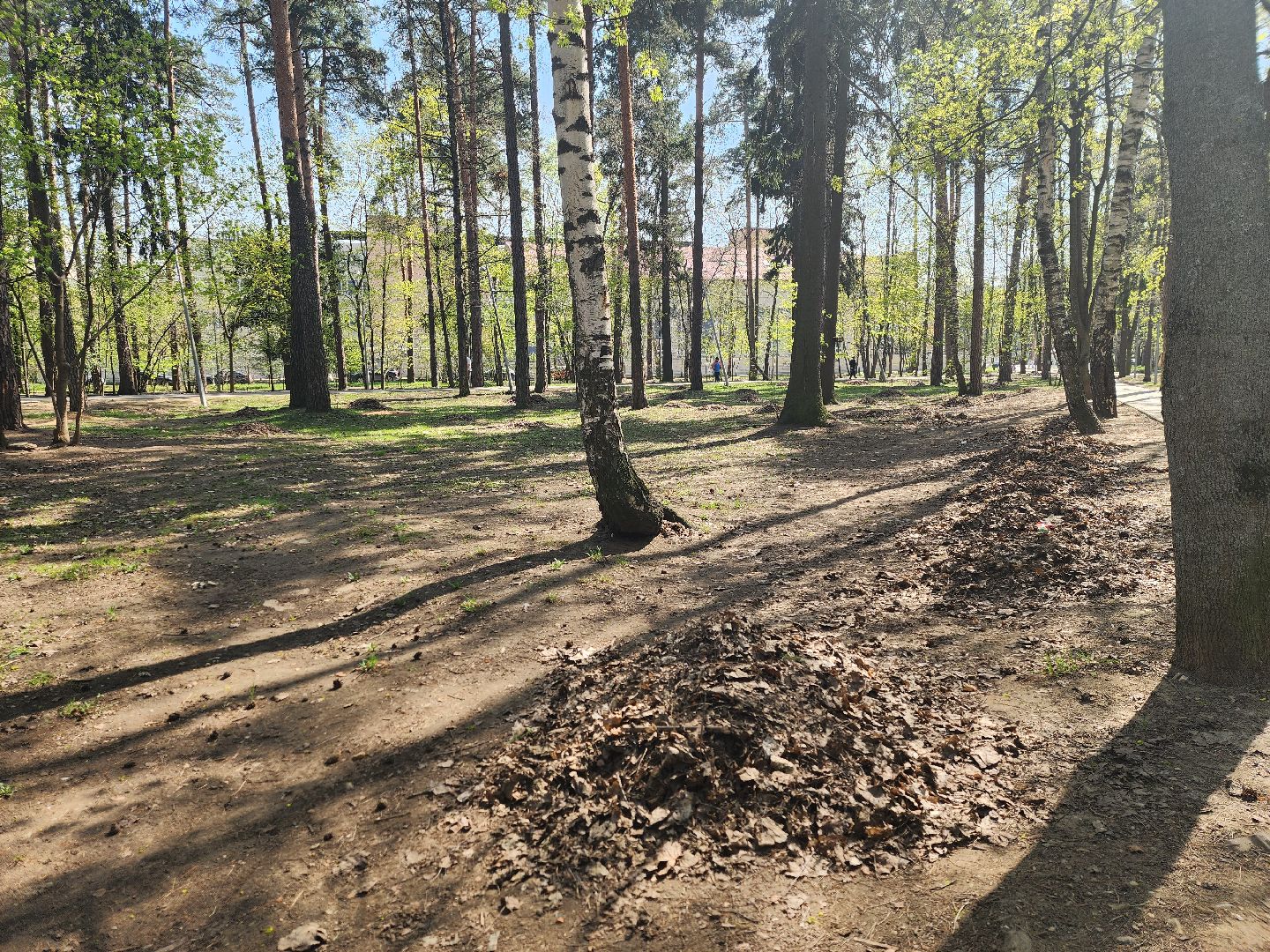 королёв, благоустройство, сквер героев курсантов в королеве, коммунальные службы города,