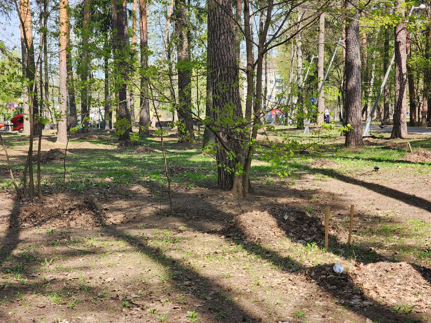 королёв, благоустройство, сквер героев курсантов в королеве, коммунальные службы города,