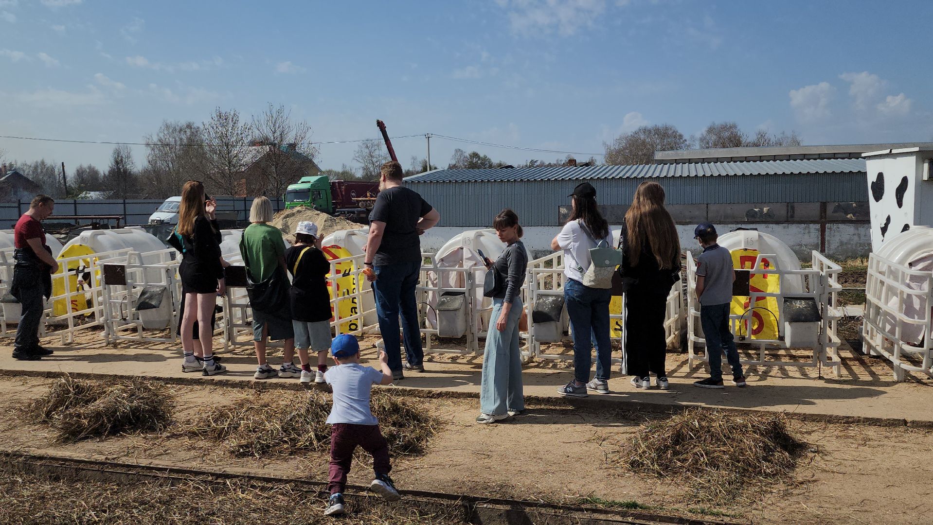 ферма цветковых, экскурсии по ферме, агротуризм, щёлково,