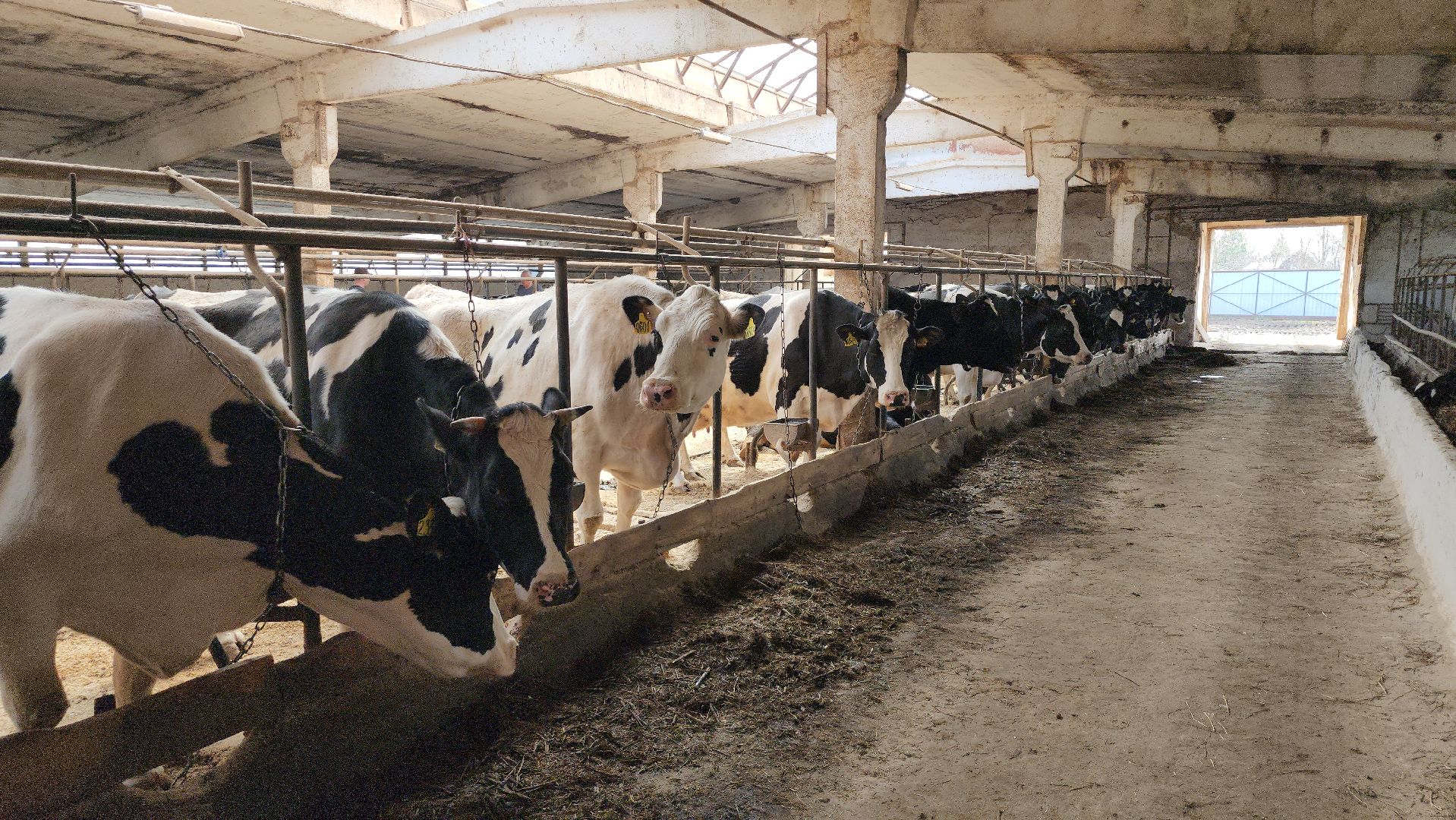 ферма цветковых, экскурсии по ферме, агротуризм, щёлково,