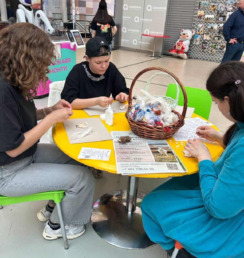 пушкино, праздник, многодетные семьи,концерт, мастер-класс,дети, угощения, день рождения, поздравления,