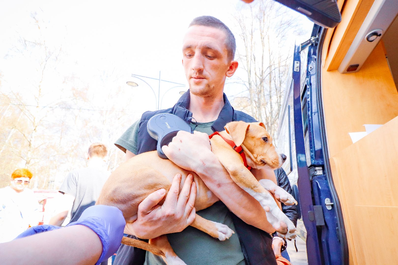 клин, общество, вакцинация животных, медицина,