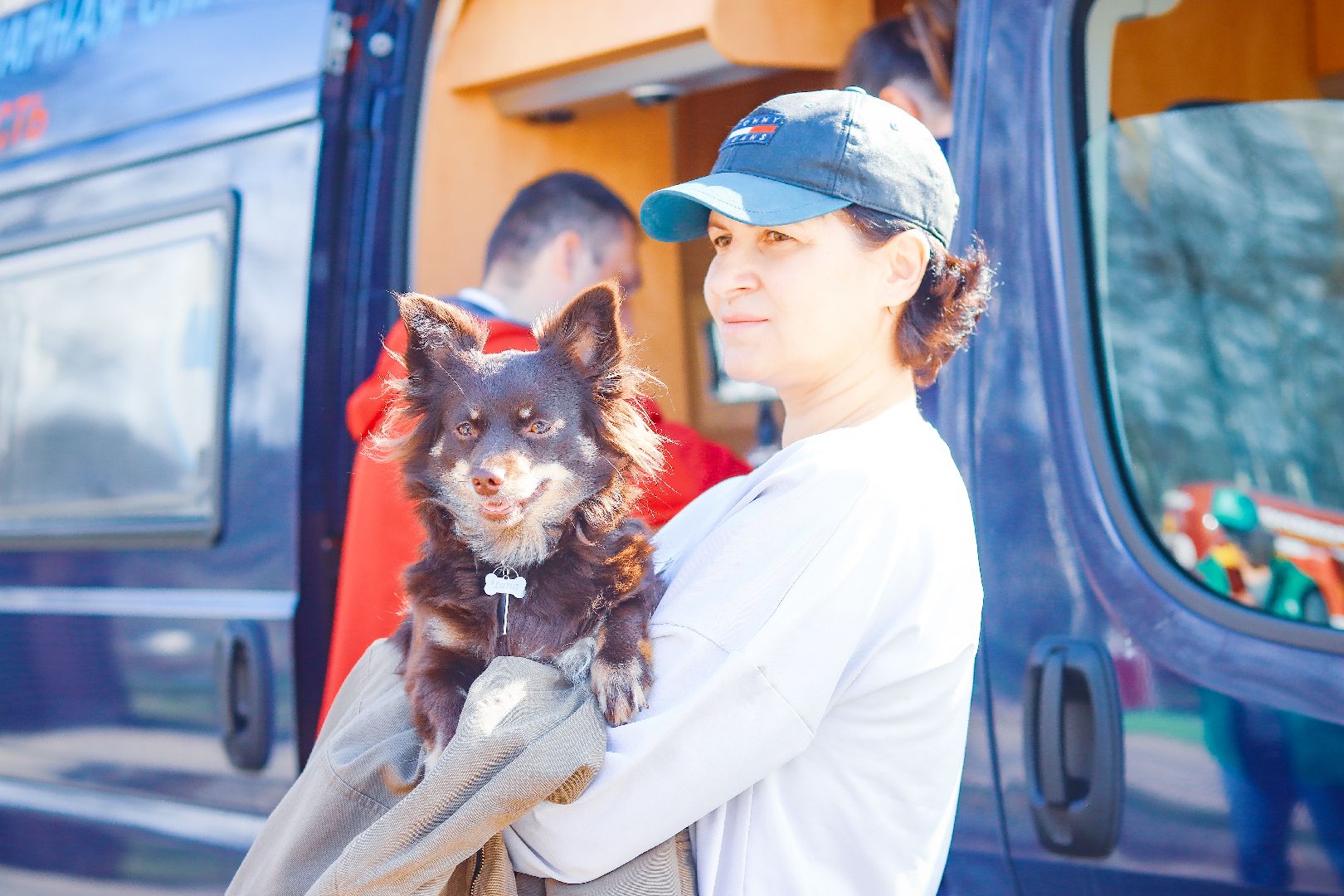 клин, общество, вакцинация животных, медицина,