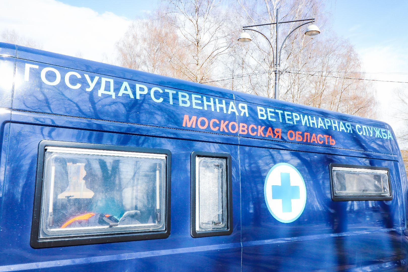 клин, общество, вакцинация животных, медицина,