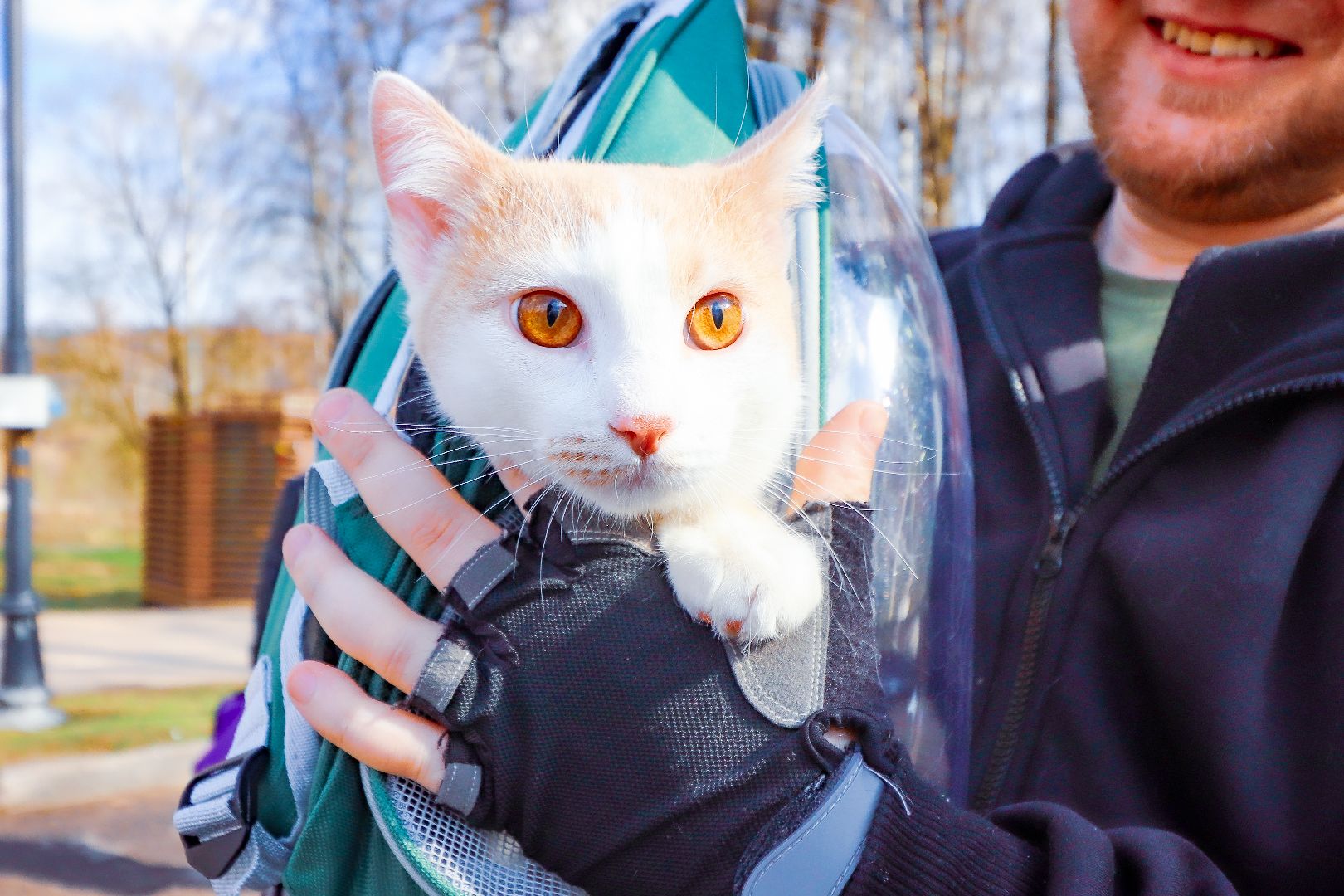 клин, общество, вакцинация животных, медицина,