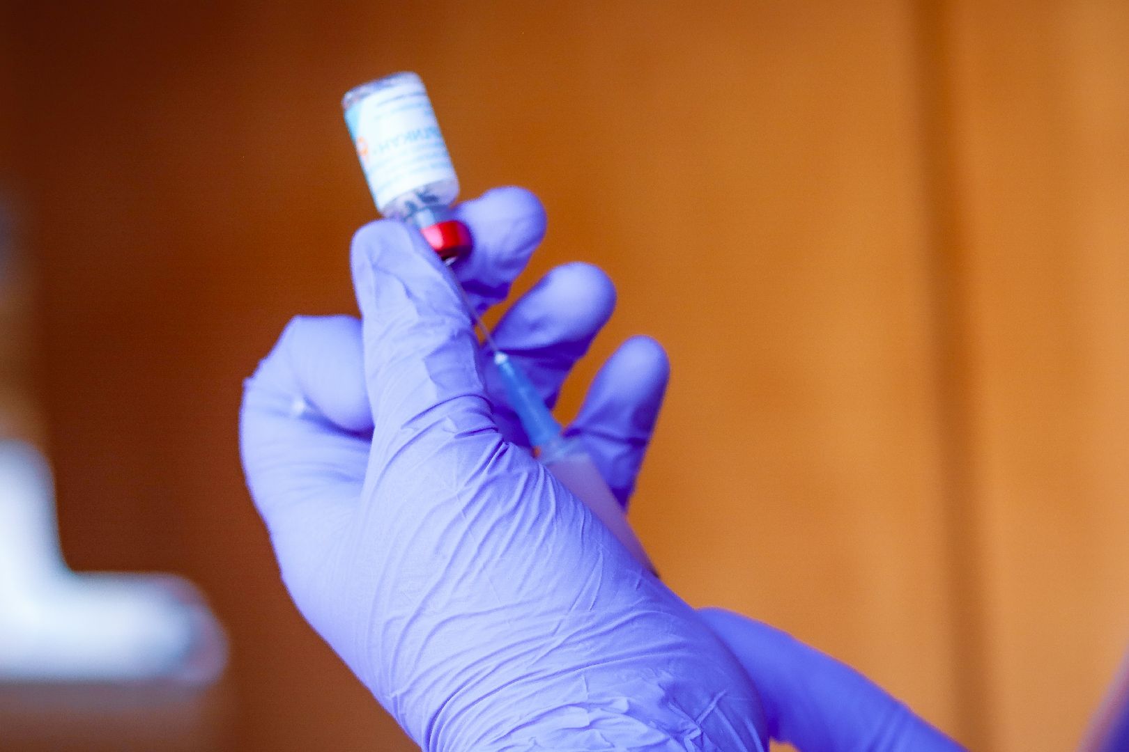 клин, общество, вакцинация животных, медицина,