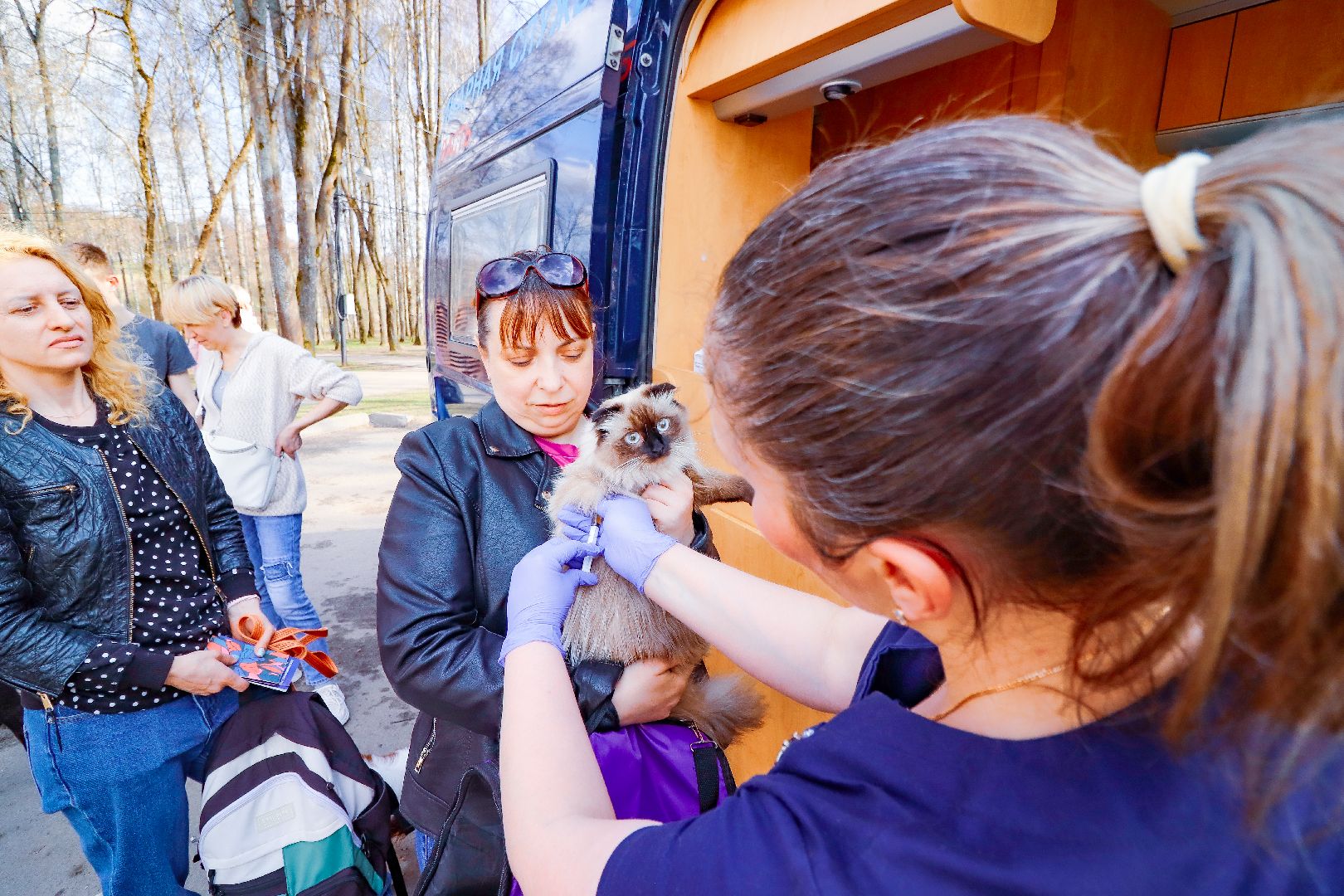 клин, общество, вакцинация животных, медицина,