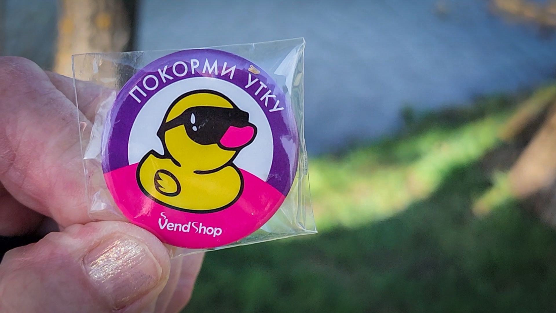 бронницы, парк бронницкий луг,  аппарат для кормления уток ,