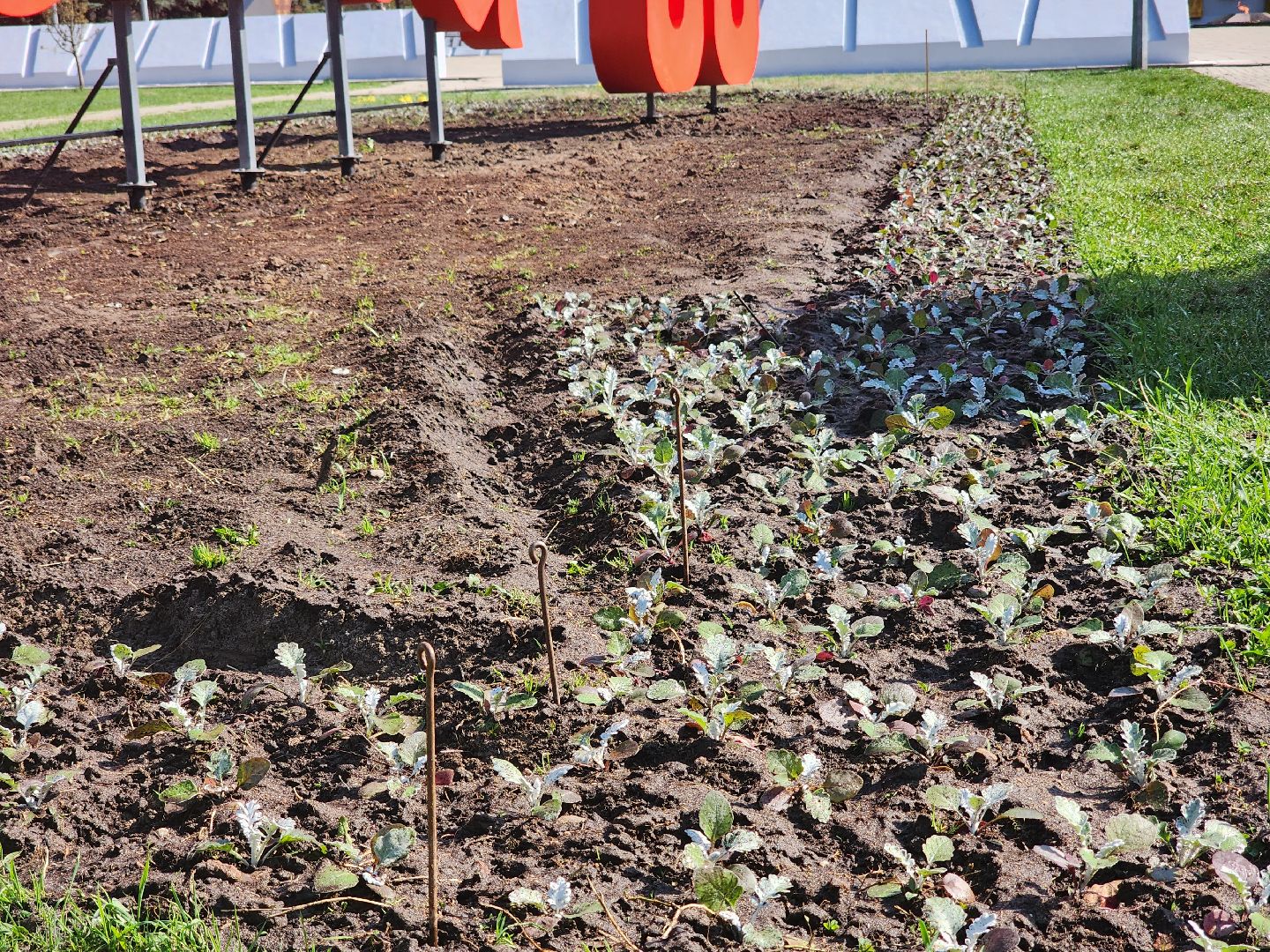королёв, благоустройство, день победы в королеве, 80 - летие победы,