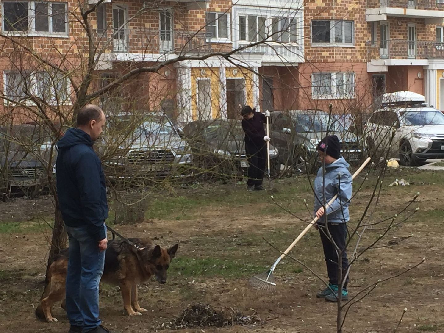 Долгопрудный, субботник, кустарник, шины