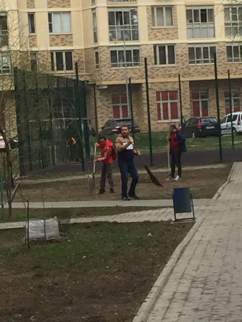 Долгопрудный, субботник, кустарник, шины