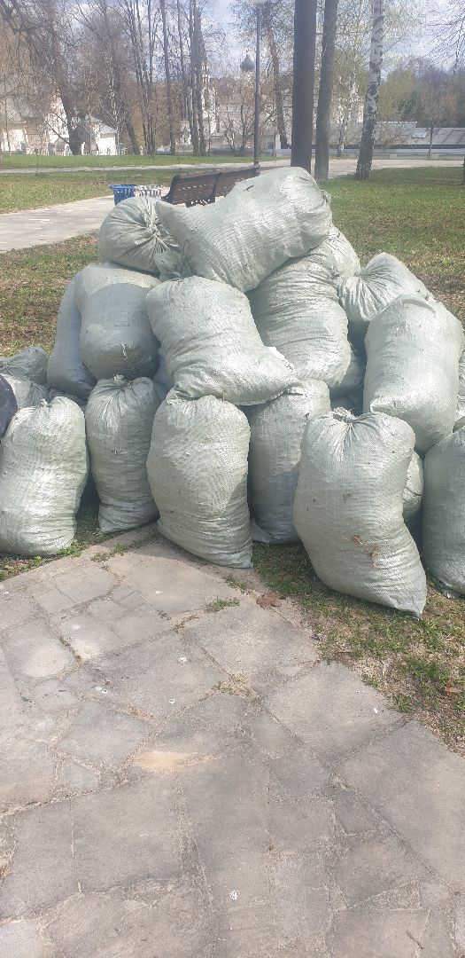 Долгопрудный, субботник, кустарник, шины