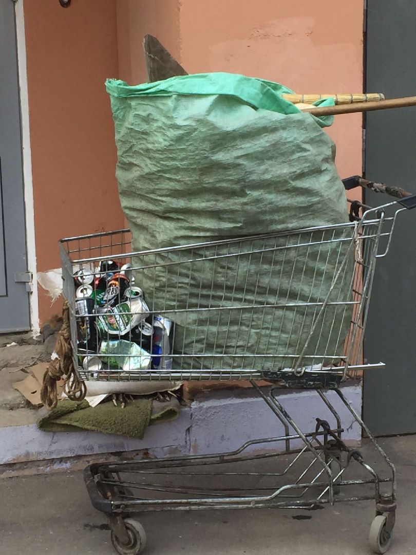 Долгопрудный, субботник, кустарник, шины