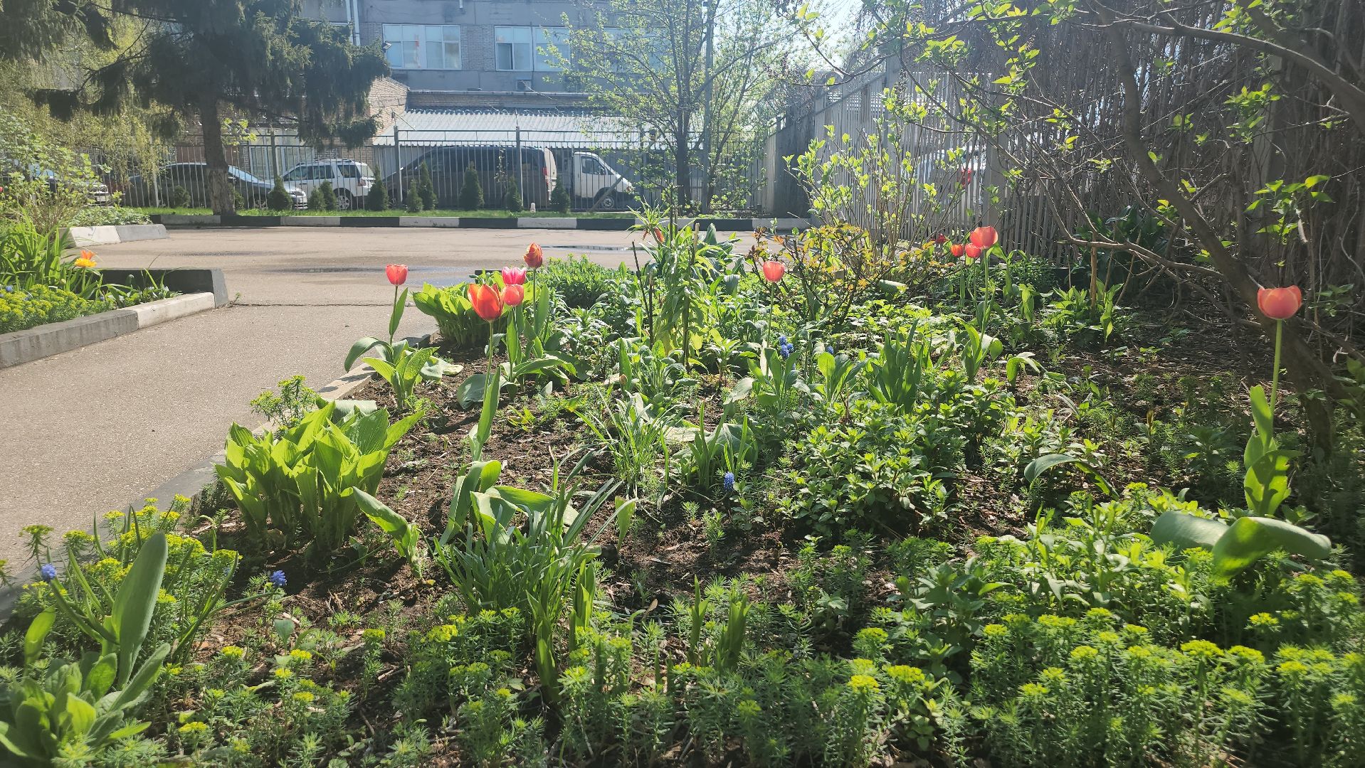 Люберцы, отопительный сезон, отопление,