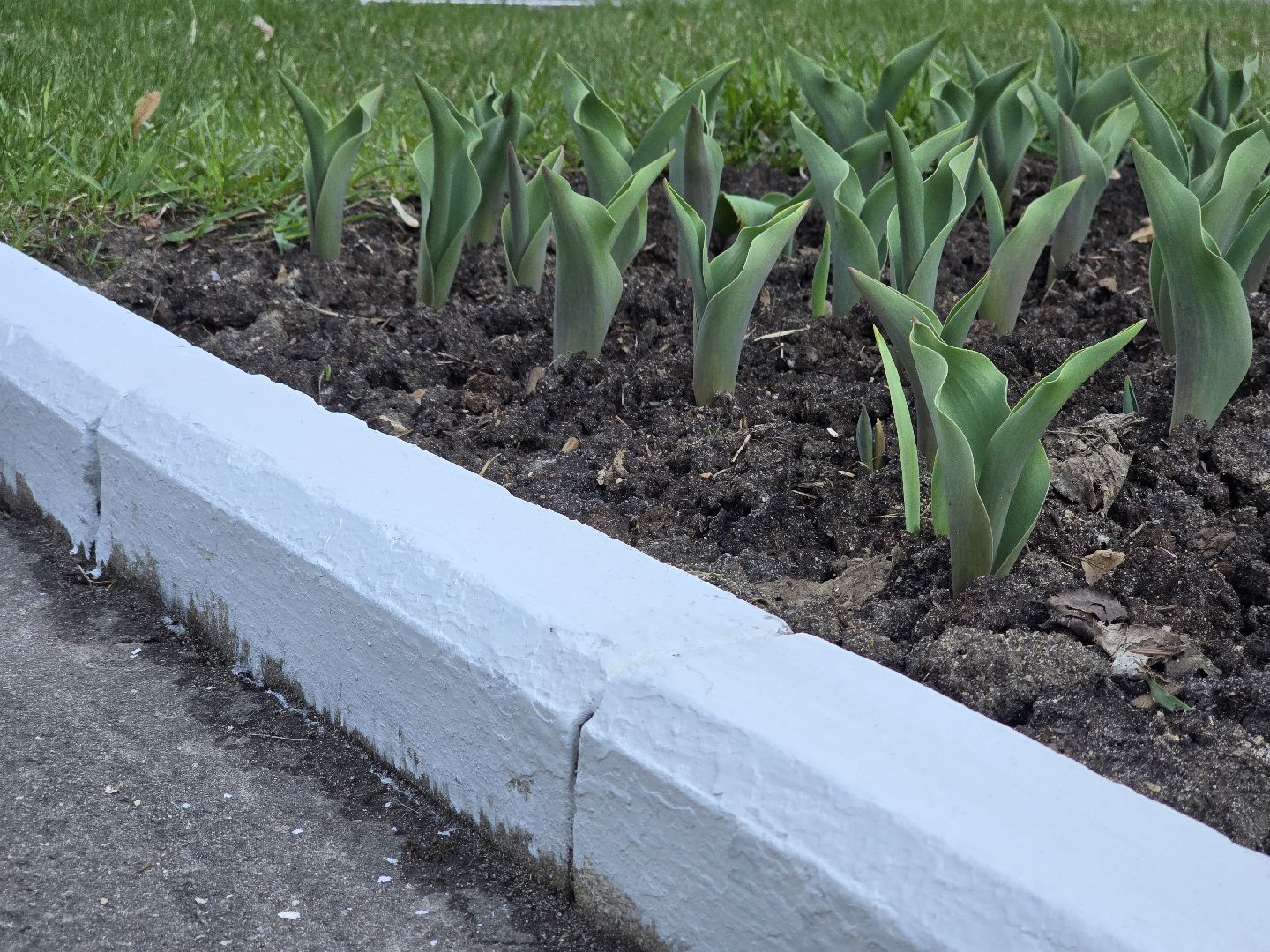 Коломна, благоустройство, подготовка к 9 мая, мемориал, памятник вов,