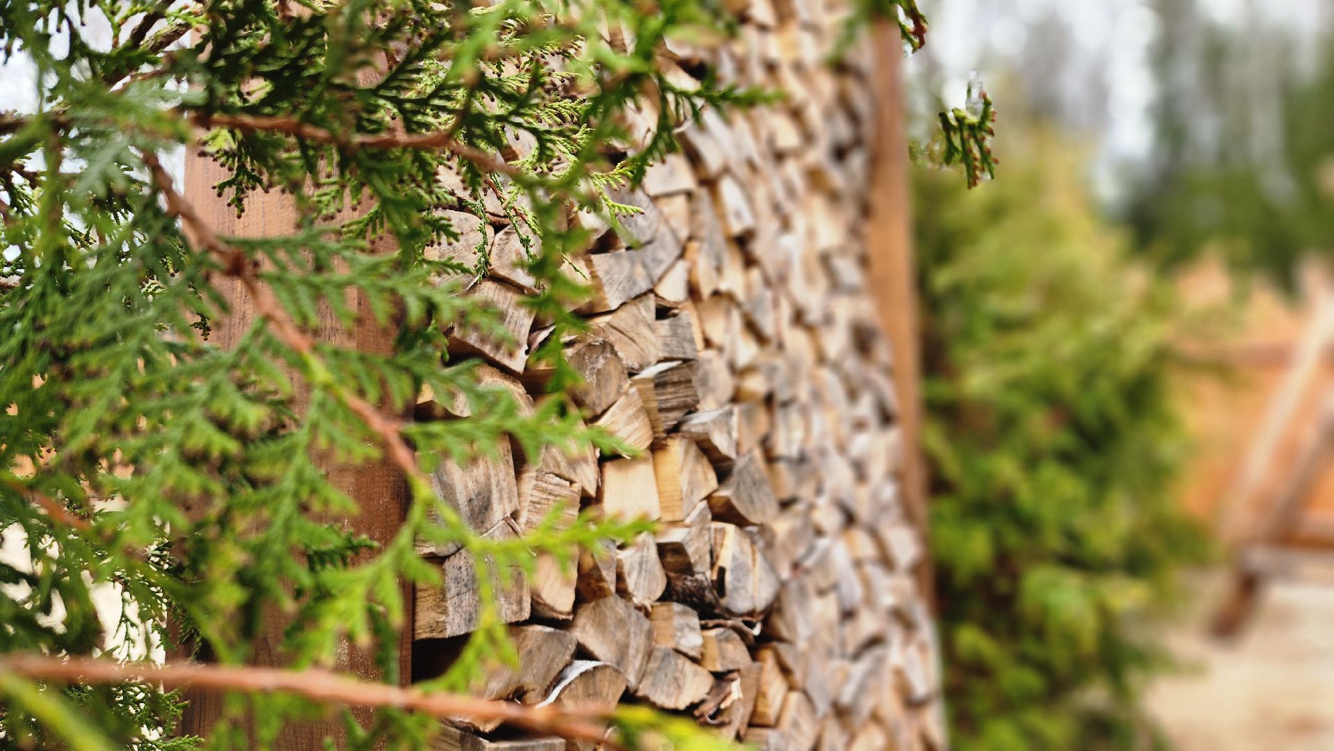 глэмпинг, руза, туризм, туризм в рузе, рузское водохранилище, семейный отдых,