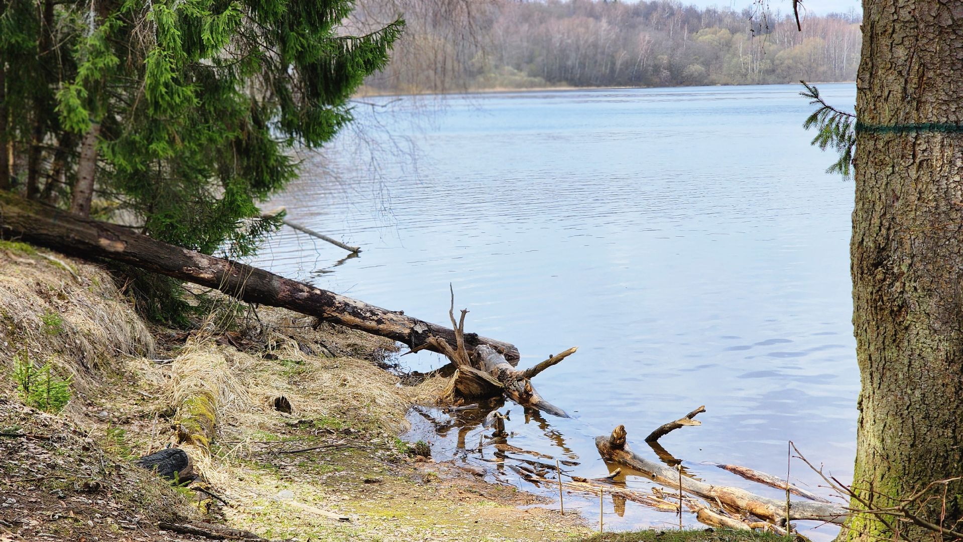 глэмпинг, руза, туризм, туризм в рузе, рузское водохранилище, семейный отдых,