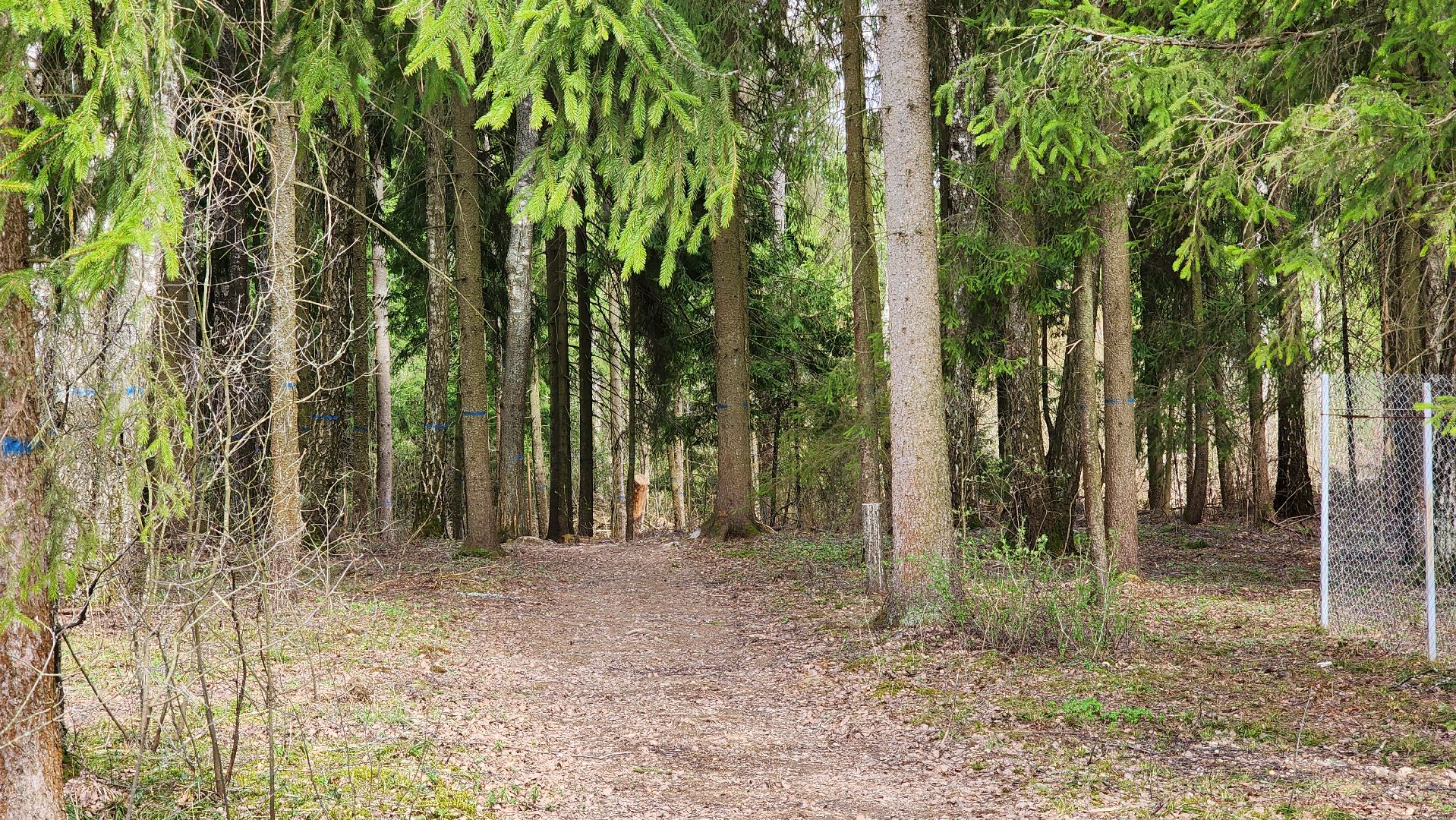 глэмпинг, руза, туризм, туризм в рузе, рузское водохранилище, семейный отдых,