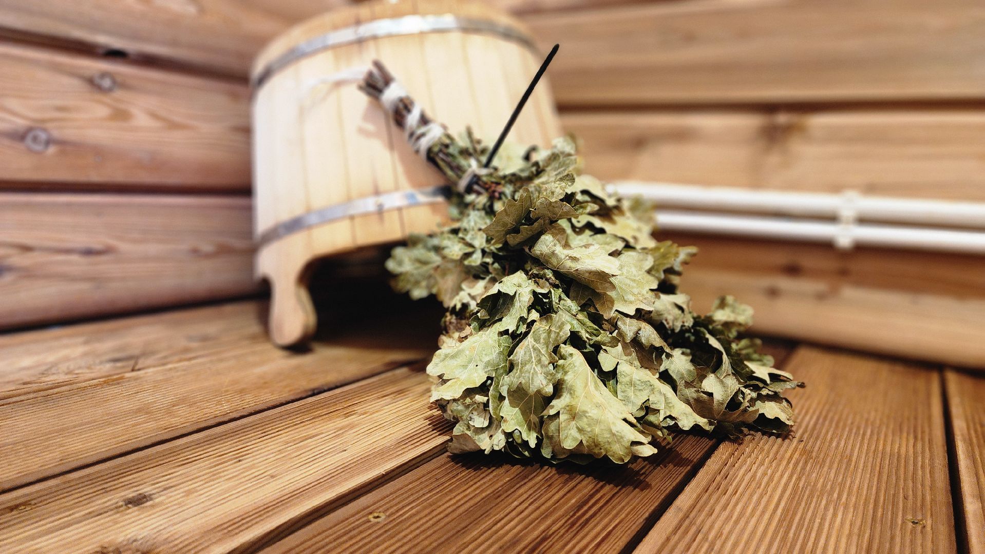 глэмпинг, руза, туризм, туризм в рузе, рузское водохранилище, семейный отдых,