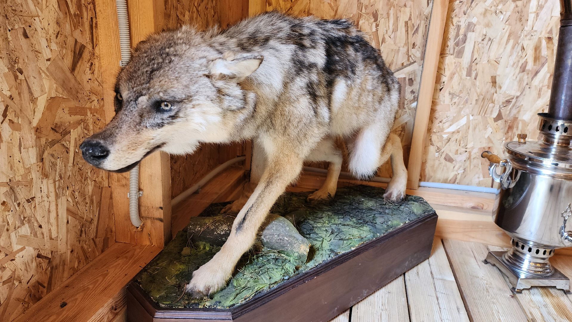 глэмпинг, руза, туризм, туризм в рузе, рузское водохранилище, семейный отдых,